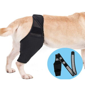 ܎ 2 nr veN^[ ֐߃veN^[ O㍶Ep ֐ߕی ی Œ x EP T|[^[ p  s⏕  ybgpi G PApi 둫 O  V