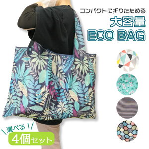 GRobO h ܂肽 RpNg W   y g[gobO [ Ci[|Pbg Rrj e 