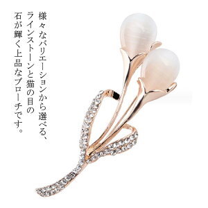 u[` RT[W t[ `[bv  LL L̖ڂ̐ fB[X }}X[c w  p[eBhX WPb