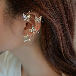 X?CXg[ fB[X C[JtX 傫 mz[sAX C[Jt Ԃ LL ؍ l Ўp C[Nbv  ɂȂ gh C[Jt S[