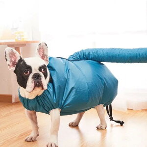 P[X ybg   ybg yMTCYzLp hC ybg hC[ C ybgpi C hC[