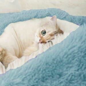 \t@ ~  ӂӂ Lxbh ^ ˂ Q ybgnEX h[^ 􂦂  g ی^ ۉ ybgNbV  LpnEX ʔNp ybgxbh _炩 }