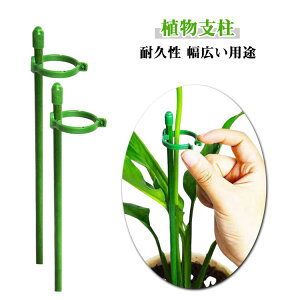 60cm x |p 鐫A ϗtA 10{Zbg K[fjO Ax t[X^h Ԃ