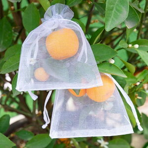 В nlbg hlbg ̑  100Zbg ʎ ʎ 悯E悯 _ƃlbg |lbg ʎی 悯E悯 hlbg hlbg ؉p |p ݂lb