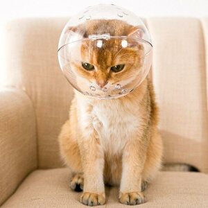 GUxXJ[ L  ybg}XN LJo[ NA \tg  8kg܂őΉ rߖh~ \ ی p ^ ^ Lp ی ݂h~ EHh~ ʋCǂ 