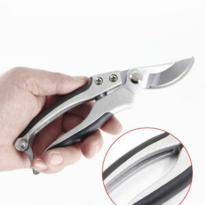 ΂ |nT~ _   }؂͂ _ ƒ؉ p H n  nT~ ͂ ₷  G_   K[f    | |΂ K[fjO 