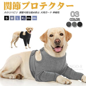 p㕞  \tgʋC \  pEFA r Lk  T|[^[ rߖh~ 畆a IpveN^ IX  Xp ^ ̃nr ֐߃veN^[ \rߖh~