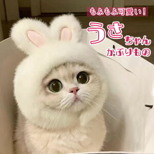 L  蕨 ybgp 킢 RXv RX`[ Xq ӂӂ  ϐg  p[eB[ nEB NX}X Cxgpi