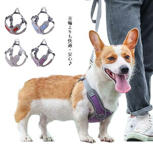  n[lX  [hZbg  [h  ^ ^  L  ^   U o ȒP  ybg t@bV EȂ ȒP   S