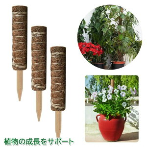 2Zbg | x 40cm  Ax K[f  Ԃ A  ؐ RRibc x K[fjOpx ϗtx oRA \  ϋv Ԏgp g₷