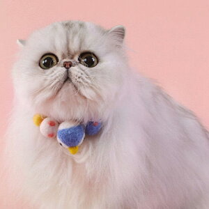 Lp p  ybgp lbNX  ^ q TCY\  킢  RR Y ߂ U o `[J[ Lbg hbO ps[ ybgp