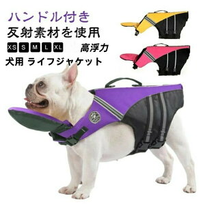 p CtWPbg ̂ ~ ^ ^ ^  CtWPbg   nht C  V v[ V C  jP pCtWPbg 