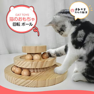 L  ] {[ L炵 mߋ Sf ؐ i` ^s XgX