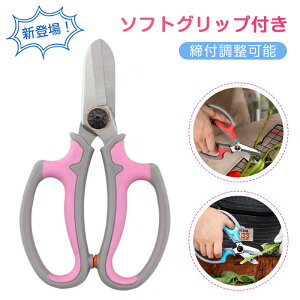 Ԃ΂  oT~ |nT~ y \tgObv Voz XeX| t[AWg ԉ A Eݎ