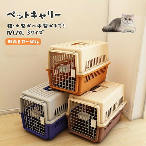 ybgL[ ybg L[ n[h L LL[obN ^ p P[W ybgp P[X Lp n[hL[ ybgpL[ L[obO  L[P[X s 