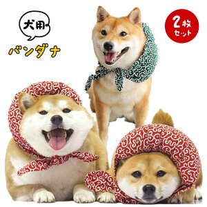 p o_i 2Zbg ANZT[a 炭 ͗l C~ XJ[tlbNXJ[t   킢  C~ RXv L