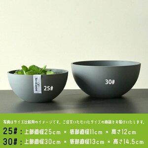 @ _J   XC y Aؔ ^ 25 30cm vX`bN  ۔ 甫  y ɂ  O  A