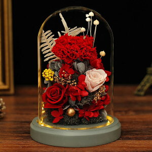 vU[uht[ ̓ KXh[  Ђ܂ Mtg 蕨 o Ԃ肴[ǃt[ LEDCg AWg hCt[ ͂Ȃ t[Mtg bsOς 