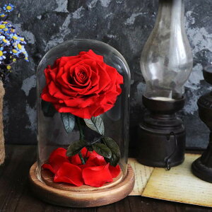 vU[uht[ 1ւ̃o Mtg KXh[ ͂Ȃ hCt[ o uCg LEDCgt bsOς P[X Mtg{bNXE񂰑܁EbZ[WJ[ht