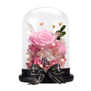 vU[uht[ Mtg KXh[ ͂Ȃ ̓ lC hCt[ P[X LEDCgt {t o bsOς Mtg{bNX 񂰑 t[Mtg v