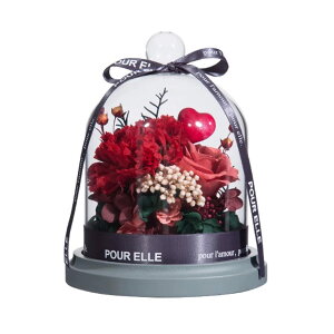 vU[uht[ o v[g t[AW KX|bg  bsOς {t 킢 P[X Ԃ肴[ǃt[ KN hCt[ ỉ ͂Ȃ