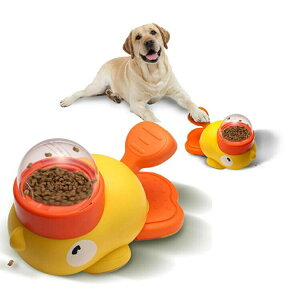 a a  Aq Aq a ybgm炨 m狋a a@ Hh~ a@ ŗV 낢 a Ck a 􂦂  L ybg ߋ 