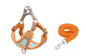 Ln[lX n[lX ybgn[lX n[lXS ^ ^ bV _ubN Ȃ U o  ȒPE