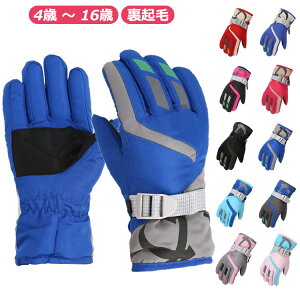 11 ܖ{w O[u XL[ 9 q  5 N 4 8 XL[ 7 LbY XL[ 6 14 15 16 X|[c Xm[{[hO[u 10 X}z h g ۉ j̎q ̎q V 