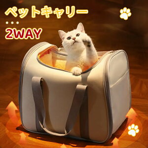 2Ways ybgL[ w\ obO V_[ LobN obN L  ^ y ܂ ybgL[obO ΂߂ a@ hCu   ybgL[P[X lG