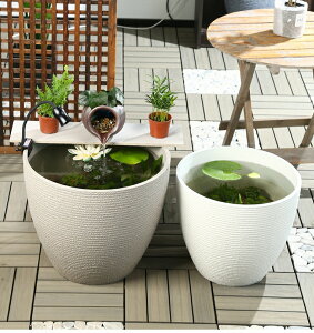   rIg[v @ _J  _J vX`bN ^   ۔ 甫  y ɂ  O  A