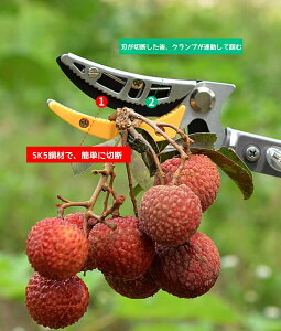 }؂oT~ } }؂ }؂mRM 3m 4m 5m ̉ Lb` }؂  Lk\ Lk}؂ } t[csbJ[@\ | ͂ K[fjOpi  