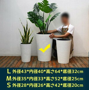 Aؔ ^ Aؔ  9 12 15 󂯎Mt y  Op K[fjO 㕗 y r ʋC Vv CeA  ItBX ȃCeAɂȂ锫 