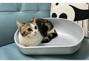 lRxbh A~ xbh L Ђxbh L  ˂ Ђ ⊴ ėp ΍ W{TCY N[ 炢 킢  ˂ ObY L^ Lxbh ˂ ˂Ȃ L