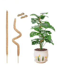 ϗtA x |x Ȃ RRXeBbN Xex Xe |p A RRibcx 鐫A AT|[g wSx RRibc |xp[c t[X^