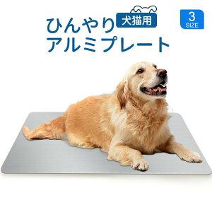 v[g A~ Ђ}bg ybg L  MǑ΍ A~v[g ˂ ₽ ⊴}bg Lp p}bg p}bg N[}bg ΍  N[ ybg}bg LЂ}