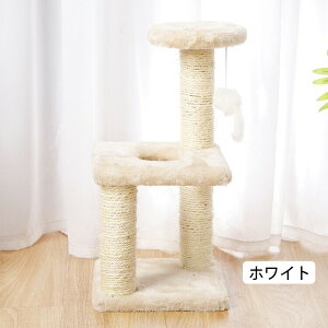 Lbg^[ L ^[ ܂Ƃ   u lC ^s  RpNg 킢 R ^ ȃXy[X X ܌ qL 傫L O[ R[q[ bh x[W