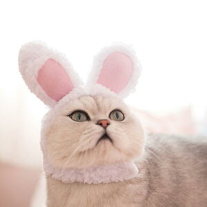 RX`[(ybgp) ybg Ck lR ybgp 蕨  rbg ƂȂ giJC NX}X t@[ tFCNt@[ GRt@[ ^ t[TCY Ck Xq