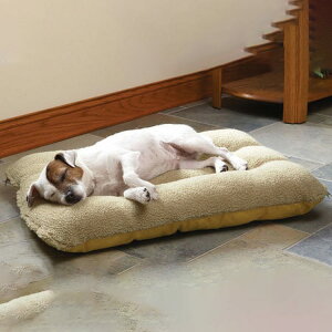 xbh XL 傫TCY 20kg܂ ^ }bg ybgxbh O\ L NbV ӂӂ _炩 g Rbg ybgpi ΍ ϊ ې􂦂 lGʗp  