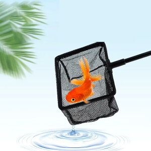 fBOlbg  ނpi ^ ܂肽 tBbVO ނ Lk  ʖ Onh xbV  r t| ʖ | Mы 