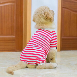  hbOEFA ybg ^ ^ ^ ybgEGA   ybg ybgpi ^Ngbv AE^[ g[i[ R[g Wp[ hbO I[C  Jo[I[