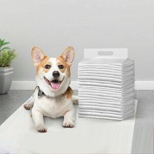 ybgV[c ^ Ɩp Lp  L S X[p[Ch ybgV[g M[ Ch gCV[g ^ ܂Ƃߔ fIV[g ybg V[c e S M L XL 1ĝ z