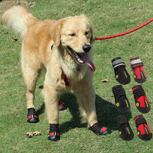  C hbOV[Y C ~ ̌C ^ ی ^ V[Y EȂ 5kg-40kg J  h ₷  hbOu[c pC p U ^ یV[Y ybgC 