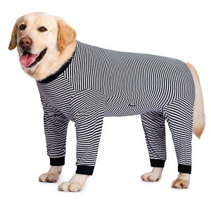  hbOEFA Jo[I[ ybg ybgEGA    ybgpi  ^ ^ ^ ^Ngbv Wp[ g[i[ AE^[ R[g hbO Xgb`