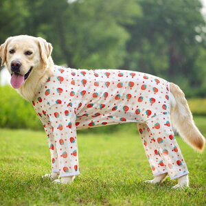 hbOEFA Jo[I[  ybg ybgEGA   ybg ybgpi  ^ ^ ^ ^Ngbv Wp[ g[i[ AE^[ R[g hbO Xgb` 