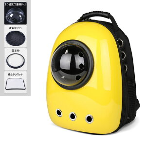 ybgL[ ybgbN ybgL[obN ybgL[J[g FDJvZ lR  Lp ^ L p Lp o U ObY@4_Zbg