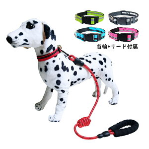  ̎ [ht Lp  p U v  S S ɂȂ  ybgpi S5F FIł ^ ^ v[g Lpi  т y q