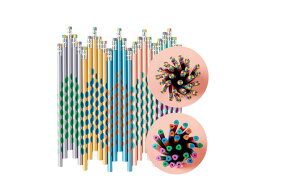 M M 100{Zbg M HB StM ǂ҂ q[ lC 킢 Ԍ` ʔ  M w w wj v[g