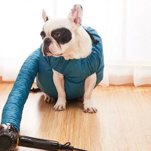 ybg  hCWPbg  L  u[ @ C  Vv[ o hC[  WPbg Z Sy ybgp yX ӂ K Ck ^ ^ q 