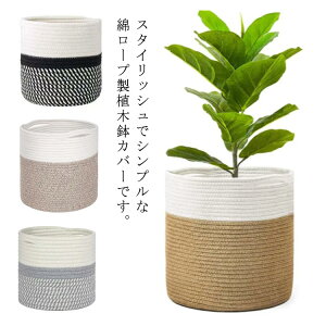  oXPbg AؔJo[ v^[Jo[  ȃ[v Jo[ v^[ ܂߂ Jo[  t [ [ ϗtA h[oXPbg |b