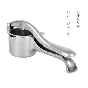 nh W[T[ ʏ`i 蓮 ڂ W[Xi XeX Ɩp ƒp tbVW[T[ O[vt[c